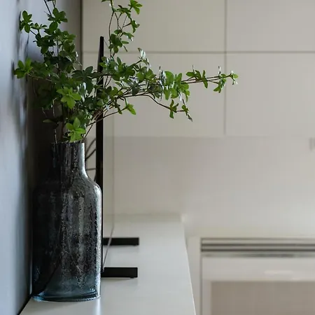 Appartement Lux 1- With Garage And Balcony